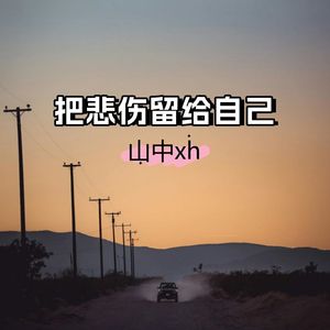 把悲伤留给自己 伴奏