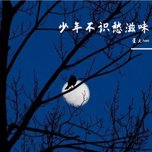 少年不识愁滋味