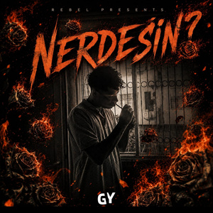 Nerdesin?