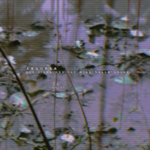 月亮出来明晃晃