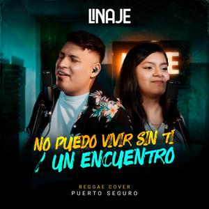 No puedo vivir sin ti / Un encuentro (Reggae Cover)