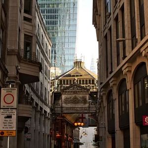 街巷初次落叶的秋分