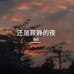 还是寂静的夜
