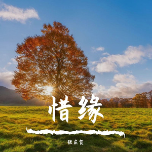 弹起我心爱的土琵琶