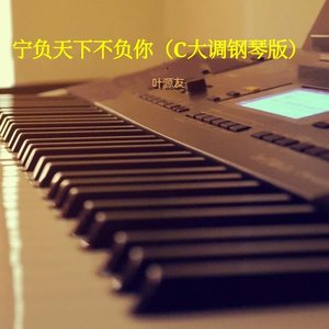 宁负天下不负你（C大调钢琴版）