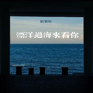 漂洋过海来看你 (DJ版)