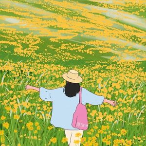 荷花映月