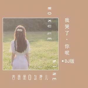 我哭了，你呢 (DJ版)