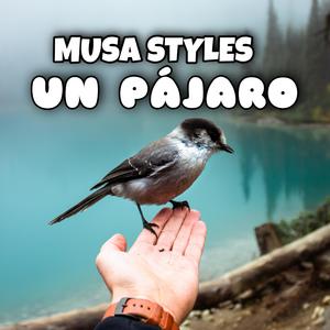 Musa Styles