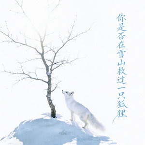 你是否在雪山救过一只狐狸