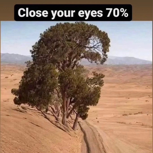 自由和孤独 原来是同义词