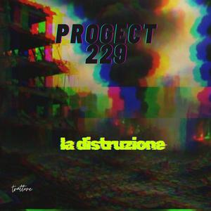 progect 229 (la distruzione)