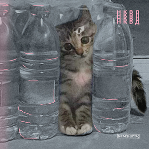 НКВД