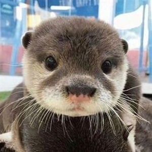 What Jhumka? - Sped Up