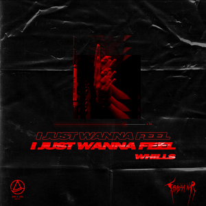 I Just Wanna Feel