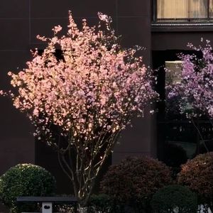 后来