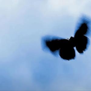 你拿什么来感同身受