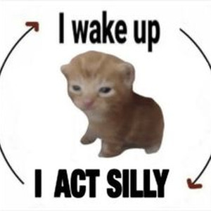 WYM Freestyle (slowed)