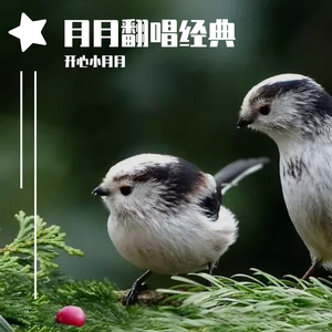 传奇-开心小月月（翻自 王菲）