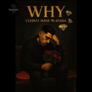 Why (feat. Anada)