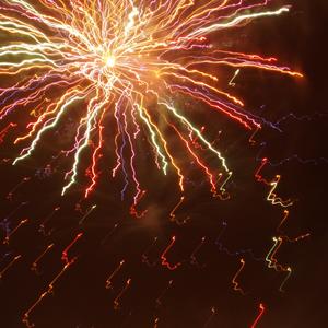 사랑이 피어나는 날