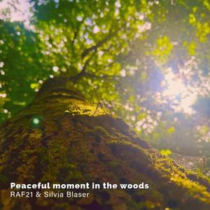 Peaceful Moment in the Woods