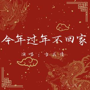 今年过年不回家