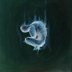 悬空然后坠落进你的梦