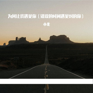 为何让我遇见你（错误的时间遇见对的你）
