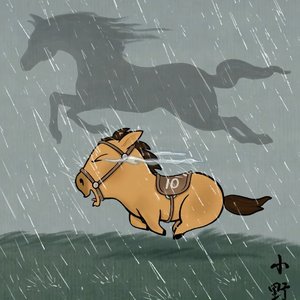 郁金香的故事