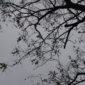 麦穗田与云上幻想