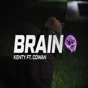 Brain