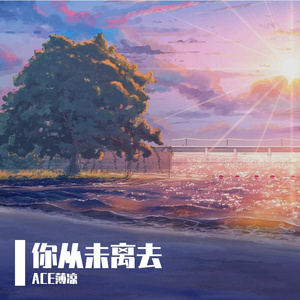 你从未离去
