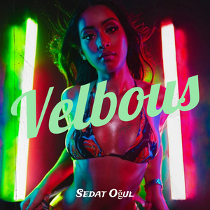 Velbous