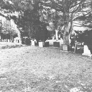 From the Blighted Mouth of Woeful Ignorance