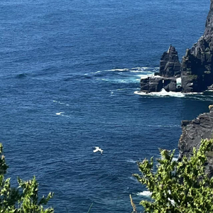 云裳羽衣曲（cover周深）