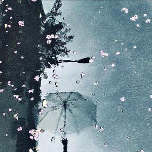 此生不见是你我的和解