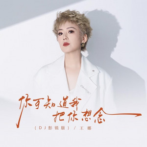 你可知道我还把你想念 (DJ彭锐版)