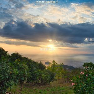 适合办公事务爵士