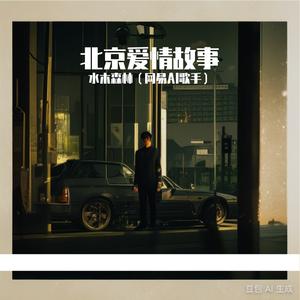 北京爱情故事