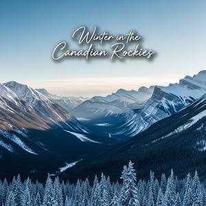 Quiet Alley Reflections