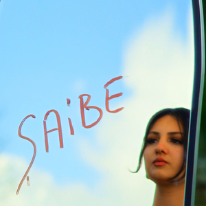 Şaibe