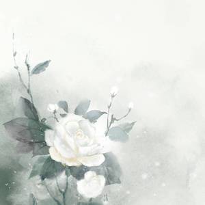沈园外