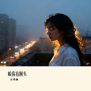 盼你在回头