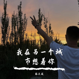 我在另一个城市想着你