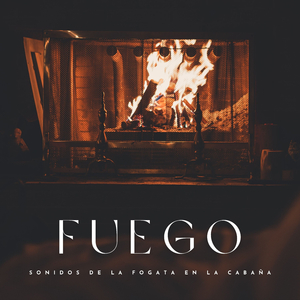 Fuego y Leños