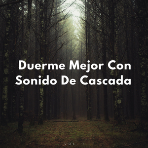 Cavando Cascada En Lo Profundo