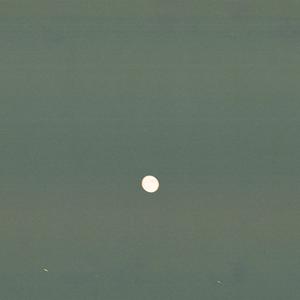 In the Mirror of Desolate Mojave