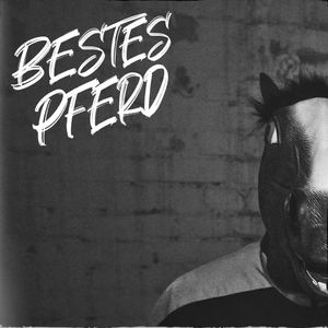 Bestes Pferd