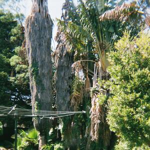 Leave Another Message